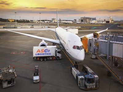 THE PROCESS OF IMPORTING GOODS BY AIR