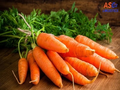 PROCEDURES FOR EXPORTING THE CARROT