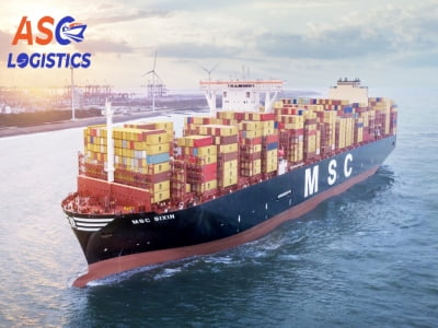 SEA FREIGHT AGENTS