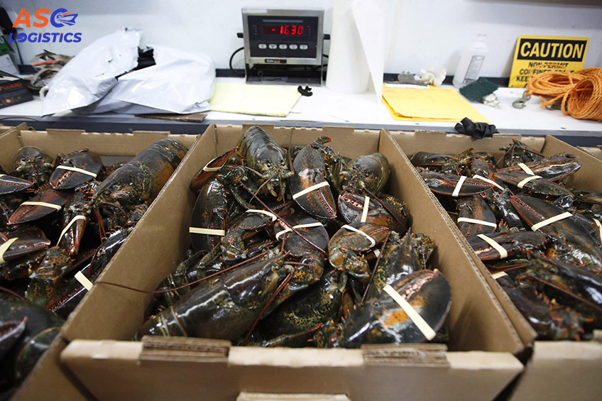 GUIDE TO IMPORTED LOBSTER QUARANTINE RECORDS