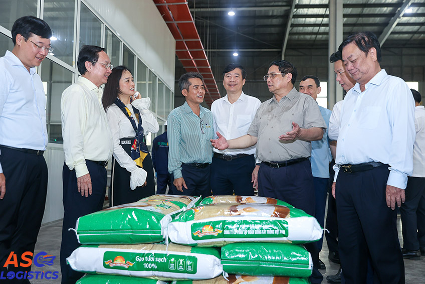 Conditions of rice export warehouses