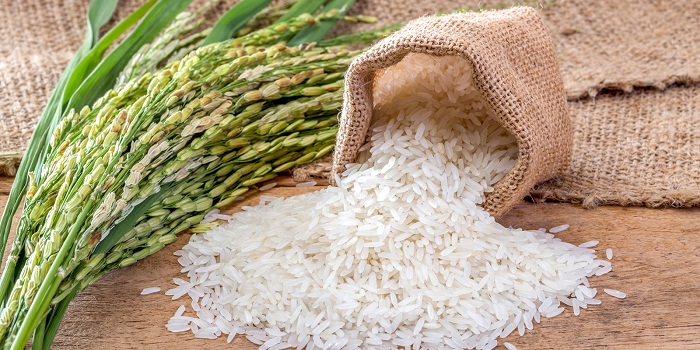 Rice export contract (including English & Vietnamese)